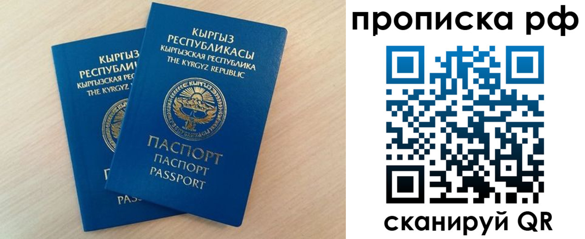где прописаться в Щиграх